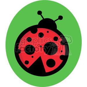 Ladybug in green circle