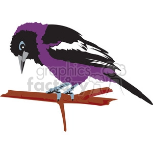 Purple Bird