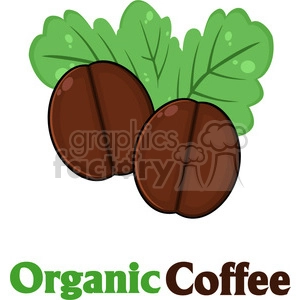 illustration organic roasted coffee beans cartoon vector illustration with text isolated on white