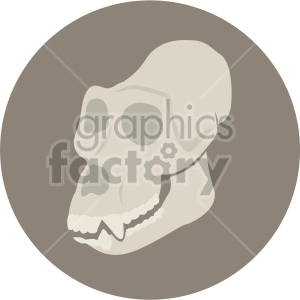 gorilla skull on circle background