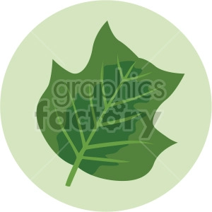 leaf on green circle background