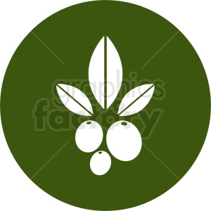 olive vector design