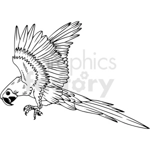 black and white parrot vector clipart