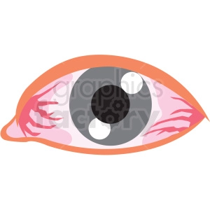 human eye vector icon