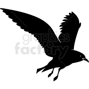 black and white seagull vector clipart