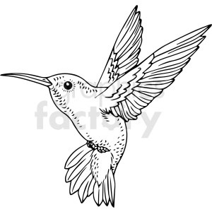 The image depicts a black and white drawing of a hummingbird. The bird is in a flying stance, with its wings outstretched to either side, and its beak pointed slightly downwards. Its wings are intricately detailed, with feathers visible in each wing.