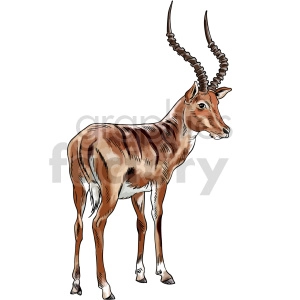 Antilope vector clipart