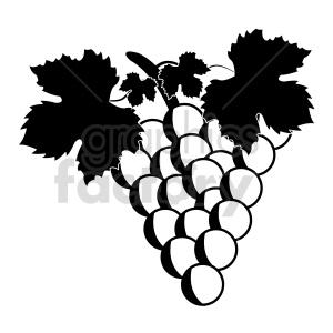 grapes vector graphic 01