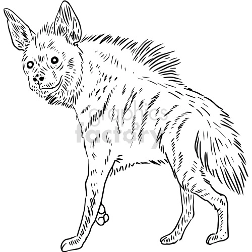 black and white hyena illustration