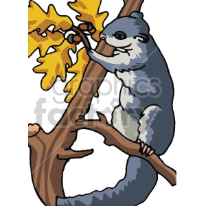 The clipart image shows a galago, also known as bush babies, perched on a branch of a tree. It is eating acorns from the tree