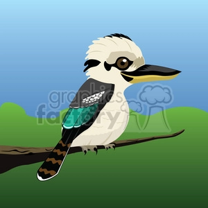 kookaburra-bird-2