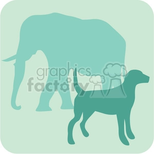 animal dog elephant 087