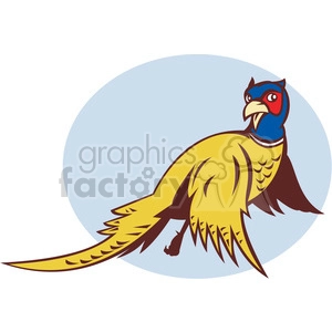 pheasant bird cartoon
