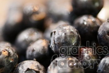 pile of blueberries