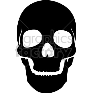 front facing skull
