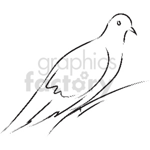 black and white pigeon vector clipart