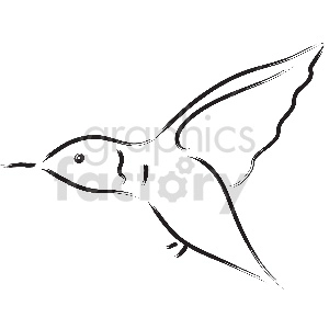 black and white hummingbird vector clipart