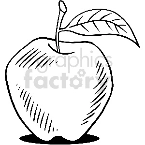 black and white apple vector clipart