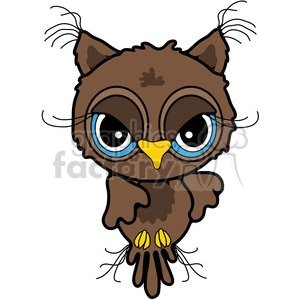 Owl Front View in color