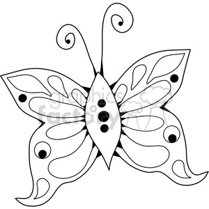 Butterfly 04