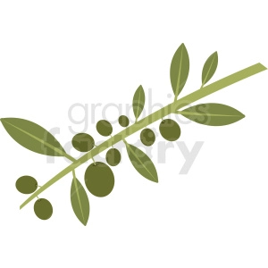 olive branch vector design