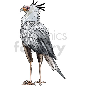 The clipart image depicts a bird known as a secretary bird, which is a large bird of prey native to Africa. The bird is shown standing on one leg with its wings folded and has a distinctive appearance, with a long neck, crest of feathers on its head, and long legs with sharp claws. It is commonly used as a symbol or emblem in African countries and is known for its ability to hunt snakes and small animals on the ground.
