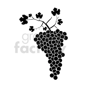 grapes vector graphic 03