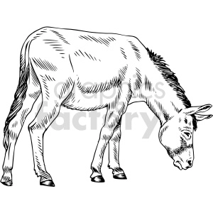 black and white donkey vector clipart