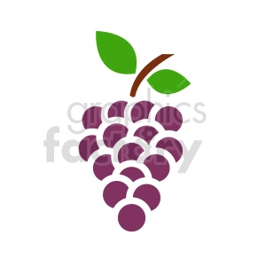 grape vector icons 6
