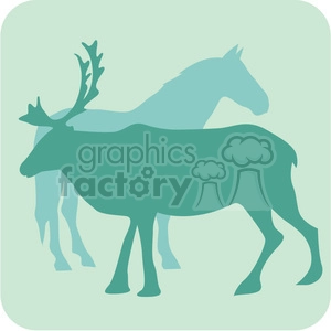 animals moose horse 098
