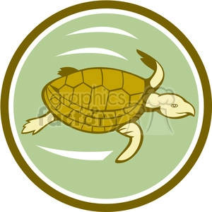 sea turtle swimming CIRC