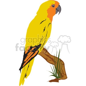Org Yellow Bird