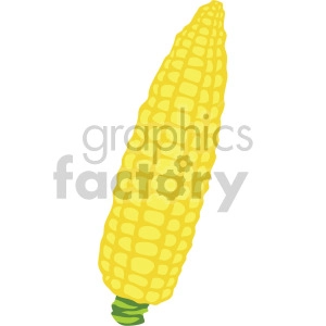 corn on the cob no background