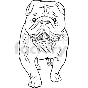 black and white bulldog front view graphic
