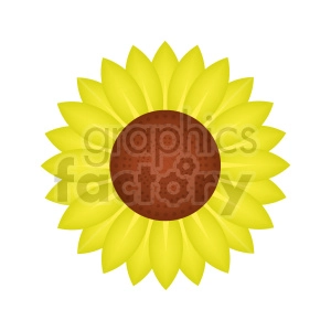 sunflower vector design