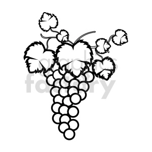 grapes vector graphic 07