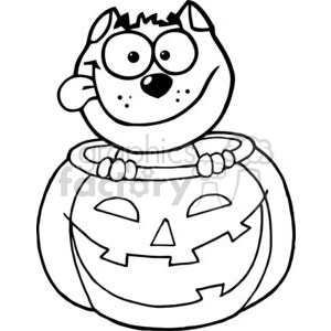 Cartoon Character Halloween Black Cat Sitting Inside Of A Pumpkin