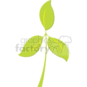 three leafs