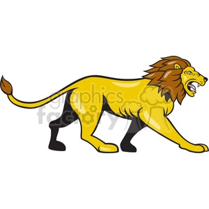 lion walking side ISOLATED