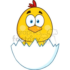 royalty free rf clipart illustration cute yellow chick cartoon character hatching from an egg vector illustration isolated on white