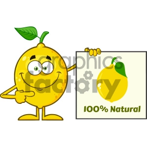 Royalty Free RF Clipart Illustration Smiling Yellow Lemon Fresh Fruit With Green Leaf Cartoon Mascot Character Pointing To A 100 Percent Natural Sign Vector Illustration Isolated On White Background