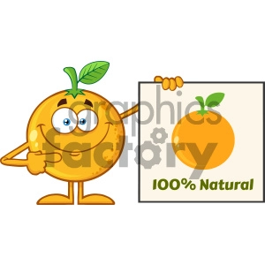Royalty Free RF Clipart Illustration Smiling Orange Fruit Cartoon Mascot Character Pointing To A 100 Percent Natural Sign Vector Illustration Isolated On White Background