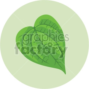 poplar leaf on green circle background