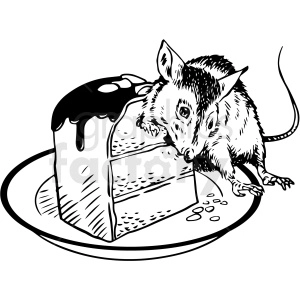 black and white realistic rat eating cake vector clipart