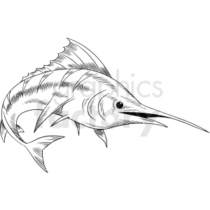 black white realistic swordfish vector clipart