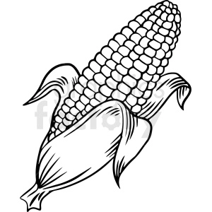 The clipart image shows a black and white vector illustration of an ear of corn on the cob. The corn is depicted as a long, cylindrical shape with several rows of kernels and a small, curved stem at the top. The illustration is done in a simplistic, stylized manner, with bold lines and no shading or texture.
