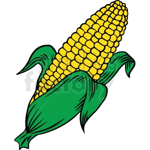 The image is of a corn on the cob with a bright yellow and green coloration. The corn is presented in a vertical orientation, with the top of the cob pointing upwards. The cob is cooked, with the yellow kernels visible along its length.