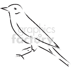 black and white small bird vector clipart