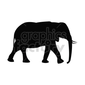 elephant vector shape