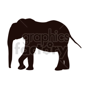 elephant vector clipart